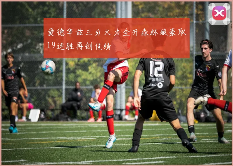 爱德华兹三分火力全开森林狼豪取19连胜再创佳绩