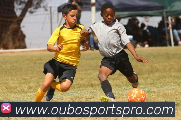 欧宝体育APP 体育赛事宣传图